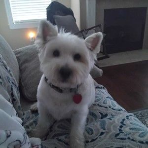 Meet your Posher, Wanda